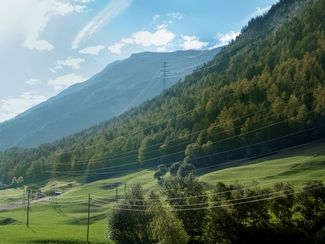 Verschiedene Stromleitungen, die über grüne Wiesen und Wälder führen.